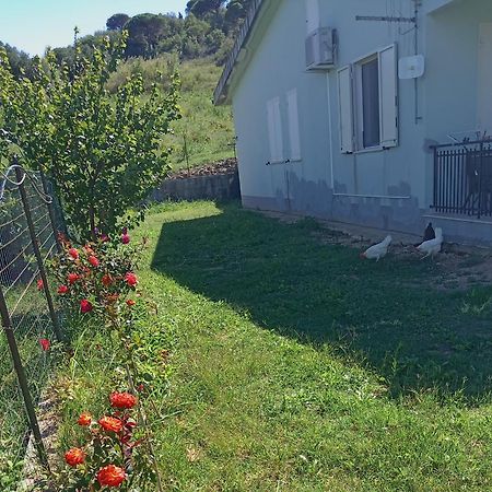 Villetta San Giovanni Calatafimi Exterior foto